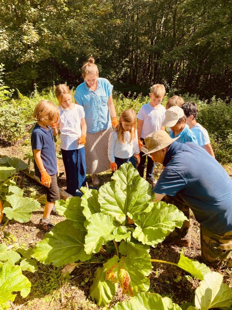 eco school